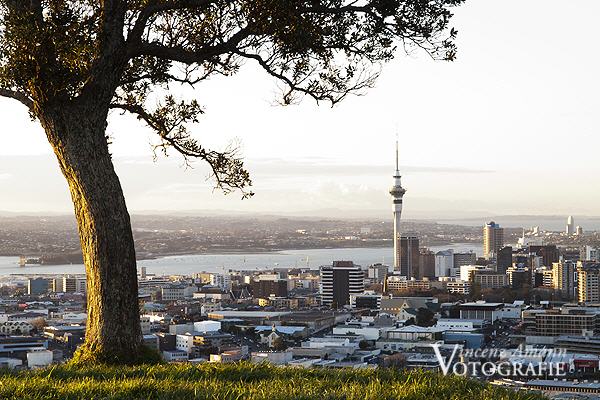 Landschaftsbild Blick auf Auckland