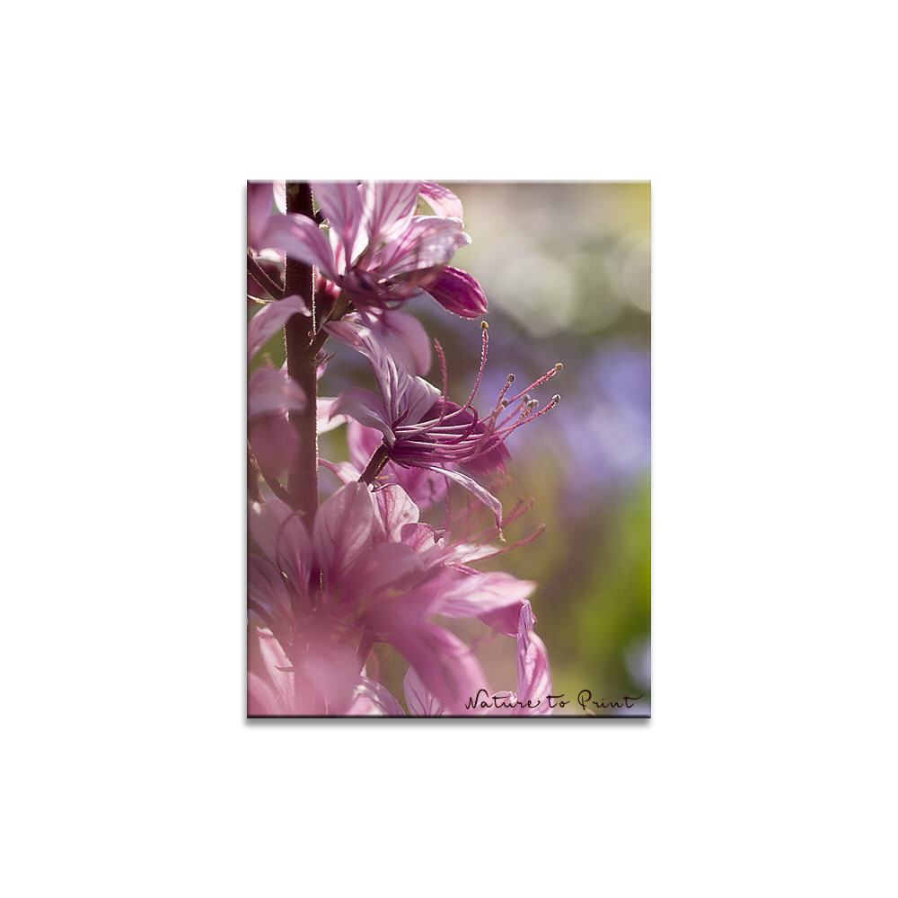 Biblische Blüte  | Blumenbild auf Leinwand, Kunstdruck, FineArt, Acrylglas, Alu, Fototapete, Kissen