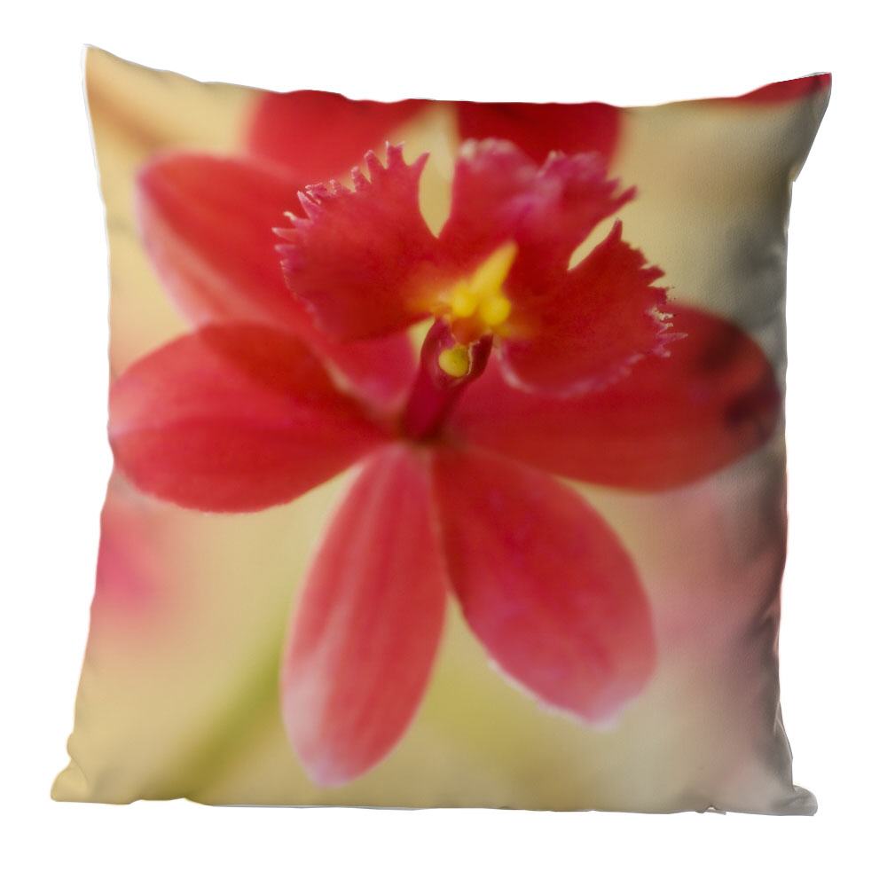 Rote Orchidee |  Kissen, inkl. Reißverschluss und Inlett, waschbar bei 30°C
