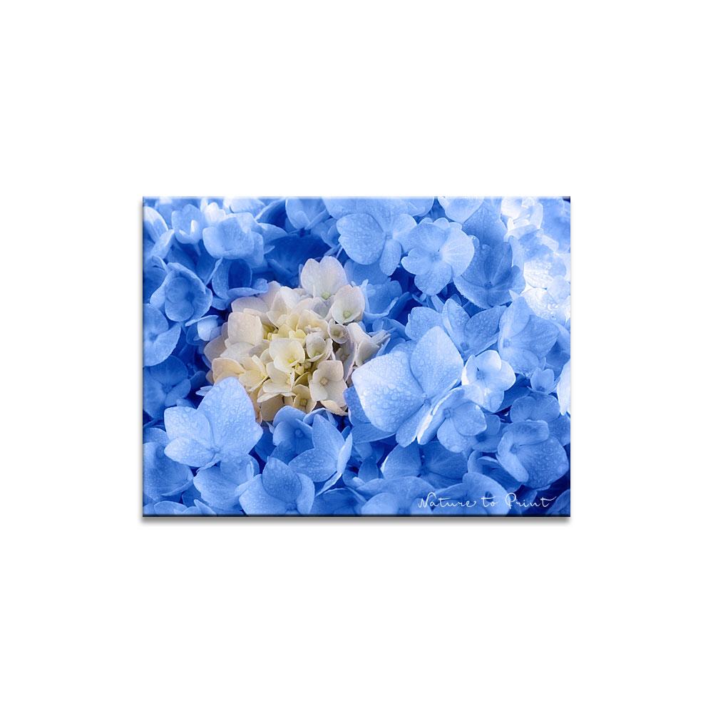 Blau umrankt | Blumenbild auf Leinwand, Kunstdruck, FineArt, Acrylglas, Alu, Fototapete, Kissen