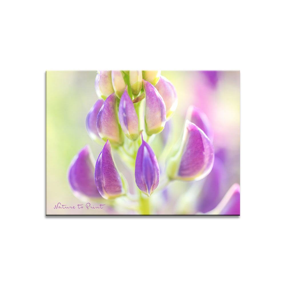 Leinwandbild Pantöffelchen einer violetten Lupine