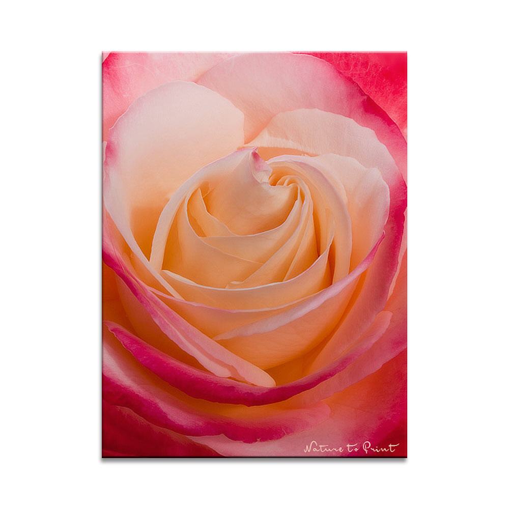 Nostalgisches Rosenherz Blumenbild auf Leinwand, Kunstdruck oder FineArt