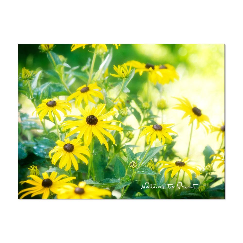 Goldenes Licht  | Blumenbild auf Leinwand, Kunstdruck, FineArt, Acrylglas, Alu-Dibond, Blumenkissen, Fototapete