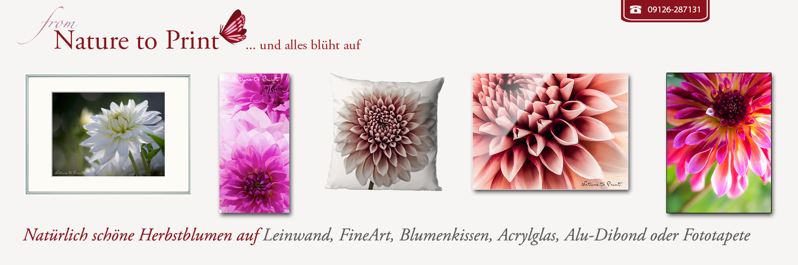 Natürlich schöne Herbstblumen auf Leinwand, Fotoprint, FineArt, Acrylglas, Alu, Fototapete oder Blumenkissen