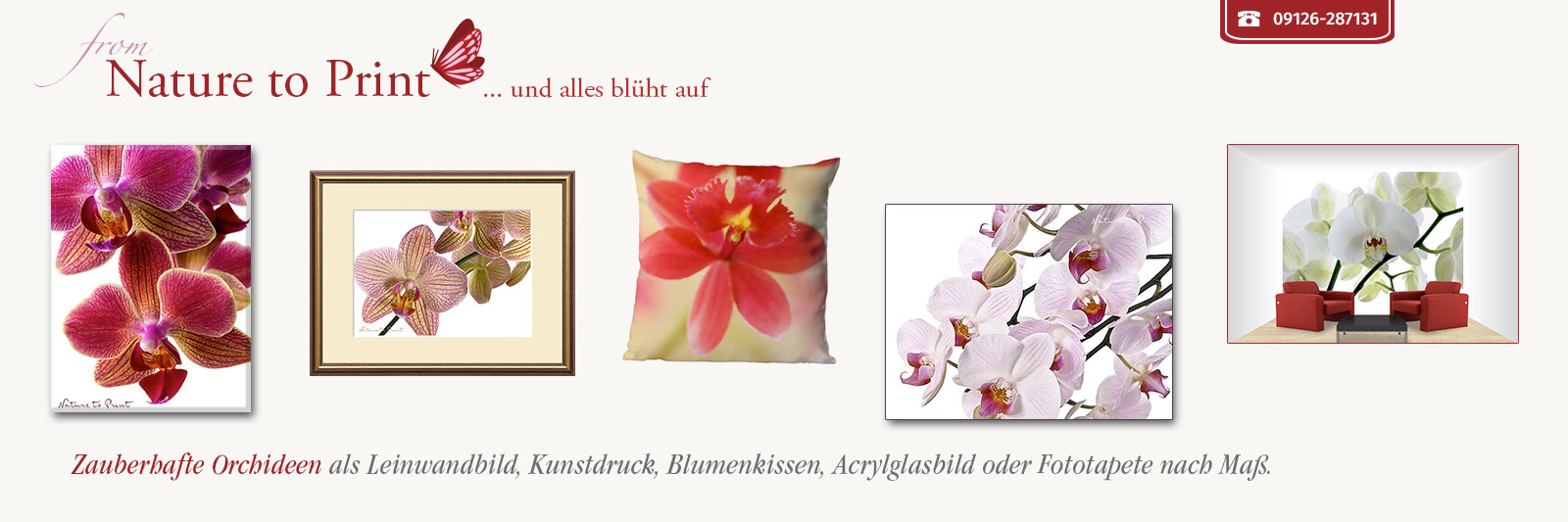 Zauberhafte Orchideen als Leinwandbild, gerahmter Kunstdruck, auf Stoffbanner, Kissen oder Fototapet