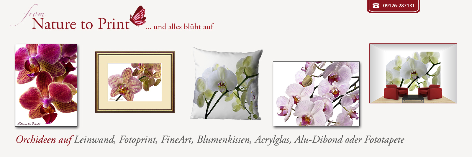 Zauberhafte Orchideen auf Leinwand, Fotoprint, FineArt, Acrylglas, Alu, Fototapete oder Blumenkissen