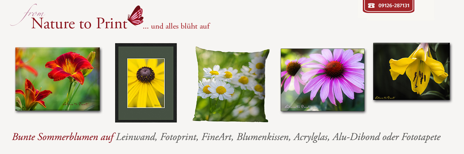 Natürlich schöne Sommerblumen auf Leinwand, Fotoprint, FineArt, Acrylglas, Alu, Fototapete oder Blumenkissen
