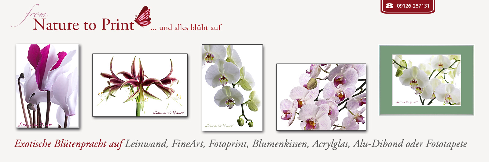 Exotische Blütenpracht auf Leinwand, Fotoprint, FineArt, Acrylglas, Alu, Fototapete oder Blumenkissen