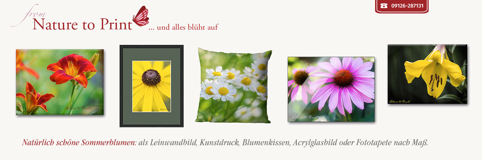 Schöne Sommerblumen als Leinwandbild, Kunstdruck, Blumenkissen, Acrylbild oder Fototapete