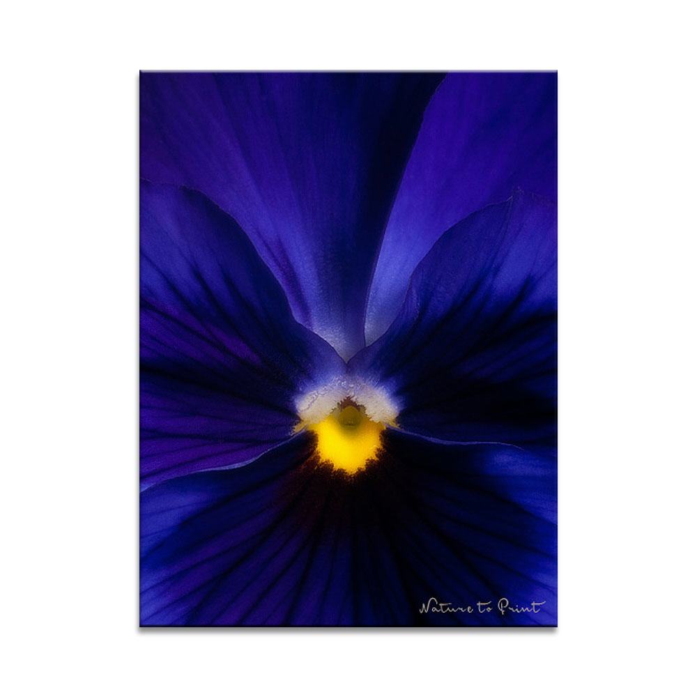 Deep Blue Blumenbild auf Leinwand, Kunstdruck, Acrylglas, Alu, Kissen