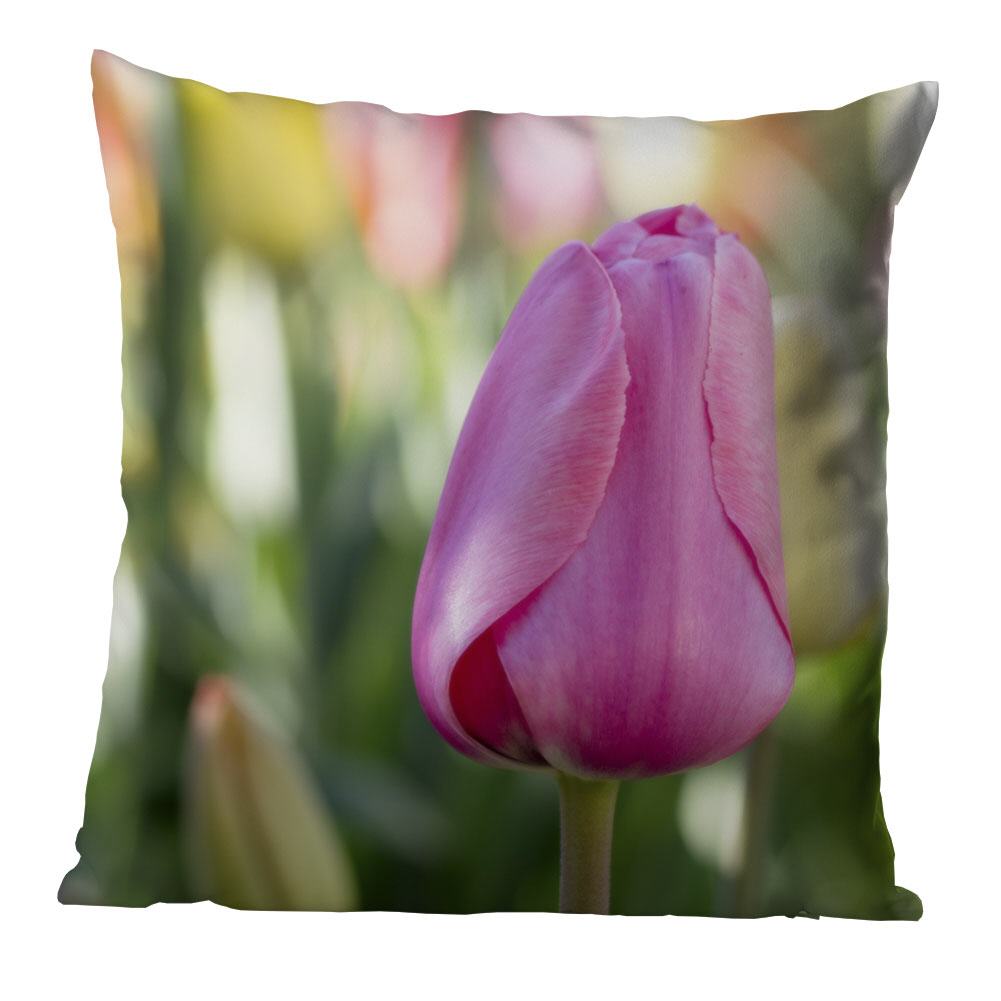 Tulpe in Pastell  | Kissen, inkl. Reißverschluss und Inlett, waschbar bei 30°C